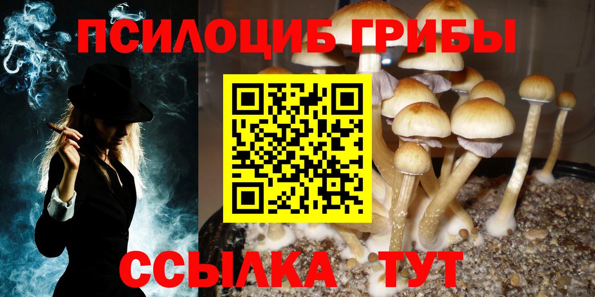 Псилоцибиновые грибы ЛСД  Вход с VPN  Галлюциногенные грибы ЛСД  Жигулёвск 