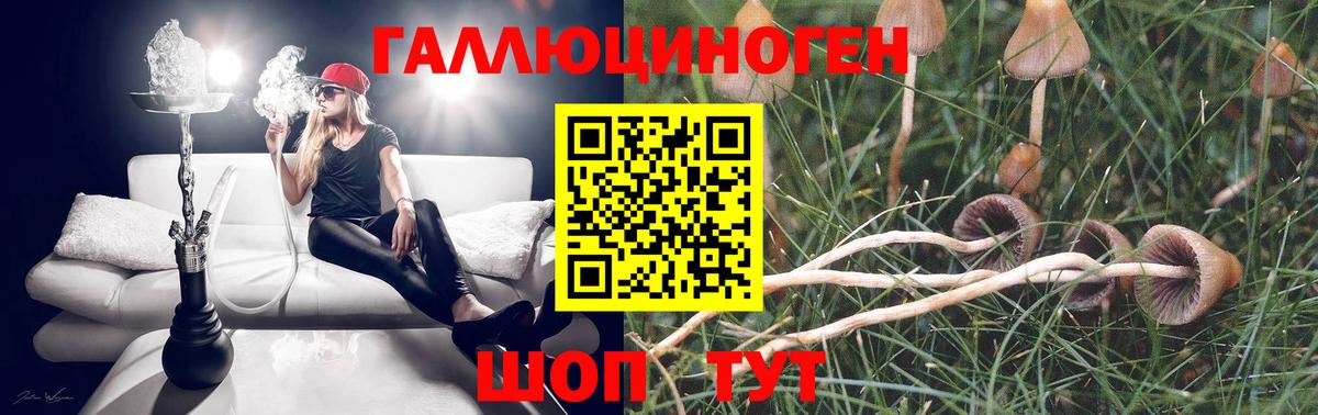 Псилоцибиновые грибы Magic Shrooms Жигулёвск